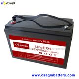 12V50ah Lithium Battery LiFePO4 with Longest Life 20years