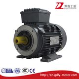 Ye2-80~160 Series Aluminum Housing High Efficiency Three Phase Asynchronous Electric Motor