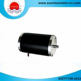 64zyt100-2433 24VDC 0.18n. M 53W 2800rpm Permanent Magnet Electric DC Motor