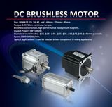 80bl3a BLDC Motor for Office