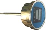 Temperature Sensor with Display (SGYY-01)