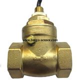 Baffle Flow Switch in Brass Material