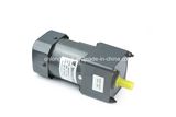 40W Induction Micro AC Gear Motor for Textile Machinery