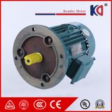 High Speed Phase Electric AC Motor with CE Proved