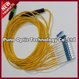 Mini OS2 MPO Fiber Optic Cable Single Mode Male to Male LSZH Plenum Round Cable