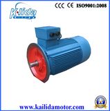 High Efficiency Starting Torque Y2 Series Induction Motors