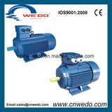 Y2 Series Three-Phase Electric Asynchronous Motor (0.12~315KW)