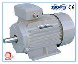 Three Phase Induction Motor, Electric Motor, AC Motor