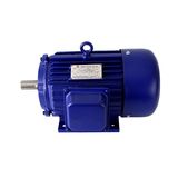 Y Series Vertical Three-Phase Asynchronous Motor