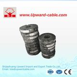 Rvv2*2.5 GB Standard Soft Sheath Copper Electrical Wire