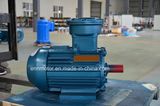 High Effiency Reliable Permanent Magnet Motor