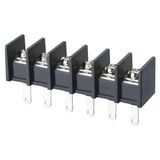 Wanjie PCB Barrier Terminal Block (WJ65H-11.0mm)