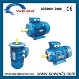Ms Series Three-Phase Asynchronous Motor with Aluminium Housing