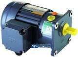 Shaft Dia 40mm Small AC Gear Motor (Horizonal)