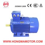 2HMI Cast Iron Three Phase Asynchronous Induction High Efficiency Electric Motor
