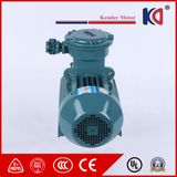 AC Asynchronous Explosion Proof Motor with High Efficiency