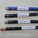 AWG20 ~AWG6 AWG1/0 Thhn Cable, Nylon Cable Electric Cable Wires