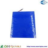 Electric Golf Cart LiFePO4 Battery Pack 48V 150ah 