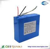 Li-ion Battery Pack 29.6V10ah for LED/ Solar Street Light