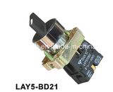 Two Standard Handle Select Pushbutton Switch