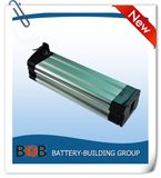 24V 20ah Silver Fish Lithium Battery Pack