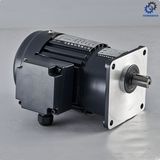 CV...S High Ratio Light Duty Type Small AC Motor_D