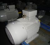 Ye2 Cast Iron Three Phase AC Induction Electric Motor