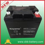 High Battery Lantern Solar Home System 12V24ah Battery for UPS EPS Telecom Good Price