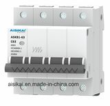 125A 2p Miniature Circuit Breaker MCB in House