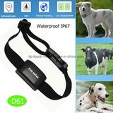 GPS Tracking for Pet with Waterproof IP67 (D61)