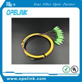 Gpon Telecommucation Fiber Optic Cable 12 Cores Boundle Sc/APC Patch Cords