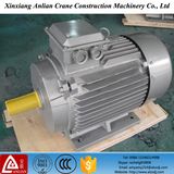 Three Phase High Torque AC Induction Motor