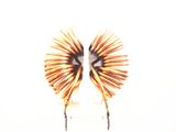 Professional Choke Coil with IEC, ISO9001, Ce Certification