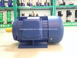 High Performance Y2 Series 3 Phase AC Induction Motor for Fan