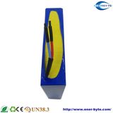 Rechargeable LiFePO4 Battery Pack 12.8V 35ah