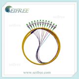 12 Cores Fanout Single Mode Fiber Optic Patch Cable
