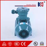 High Quality Multi-Purpose Explosion Proof Phase Motor