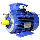 Three Phase Cast Iron Electric Motor with Ce Certificate