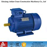 Y2 Cast Iron Three Phase Induction Motor