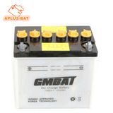 High Performance 12n24-3A 12V 24ah Mf Battery for Zero-Turn Movers