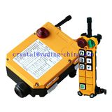 Double 6 Steps Radio Remote Controller (F24-6D)
