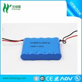 High Quality 5s 18650 Lion Battery Packs with Connector