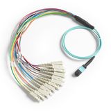 Assembly MPO Patch Cable 8/12/24 MPO/MTP Fiber Optic Patch Cord