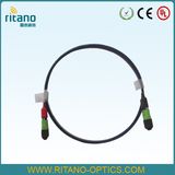 High Integrated MTP-MTP 24cores Mini-Cable Fiber Optical Trunk Cable for Data Center