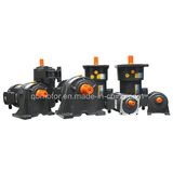 1.5kw 220/380V Speed Reducer AC Small Geared Gear Motor