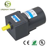 GS High Efficient 110V 120W 90mm AC Induction Motor for Electric Machine