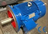 0.12kw - 200kw Tefc AC Motor Ie2 Ie3