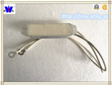 Rx19 Wirewound Metal Resistor with ISO9001