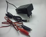 12V 1A Plug-in Type Lead Acid Battery Charger
