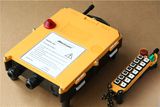 Wireless Remote Control for Crane and Industrial Appliance